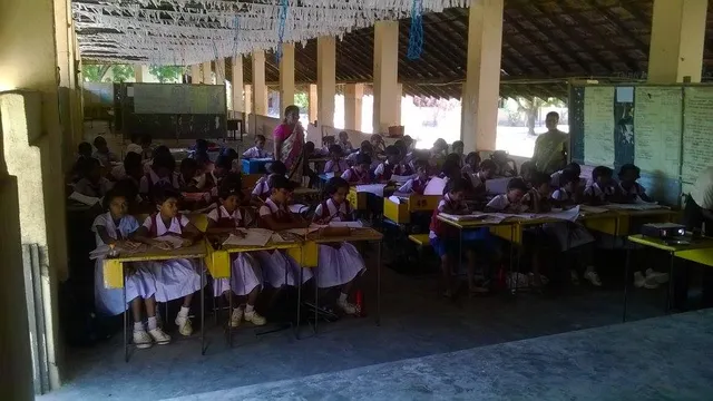 Grade 5 image